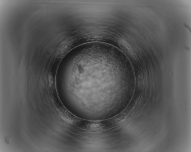 X0000091590173200708271252