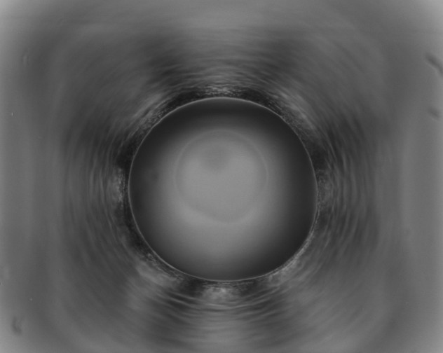 X0000091590174200708271252