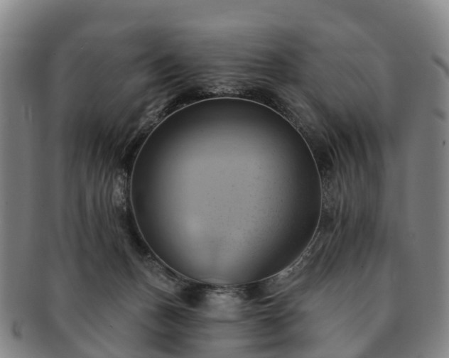 X0000091590175200708271252