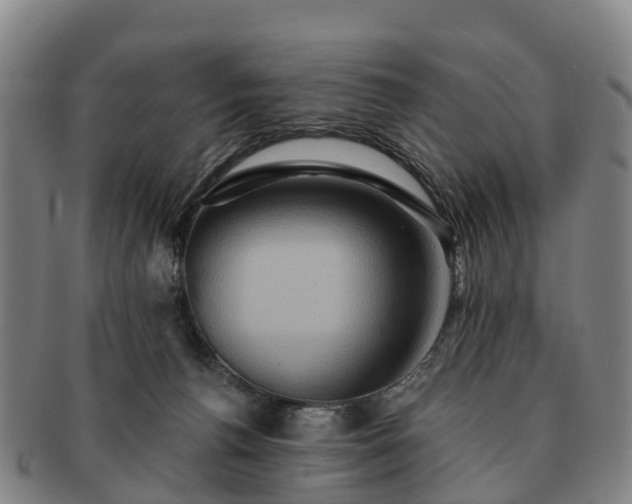 X0000091590176200708271252