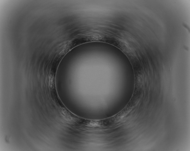 X0000091590177200708271252