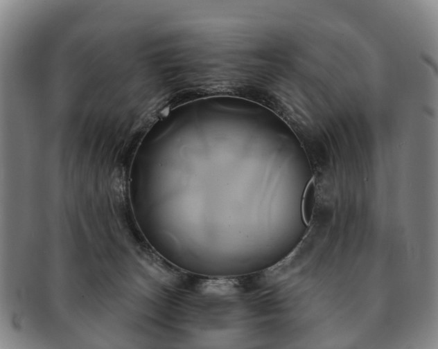 X0000091590179200708271252