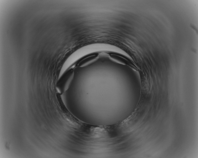 X0000091590180200708271252