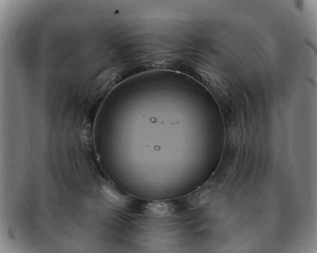 X0000091590181200708271252