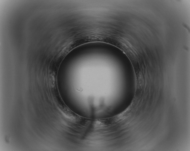 X0000091590183200708271252