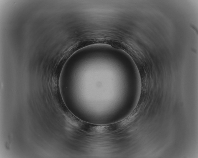 X0000091590184200708271252
