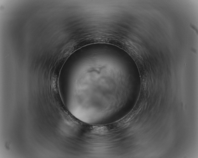 X0000091590185200708271252