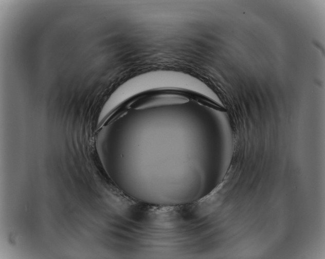 X0000091590186200708271252