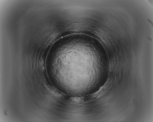 X0000091590187200708271252
