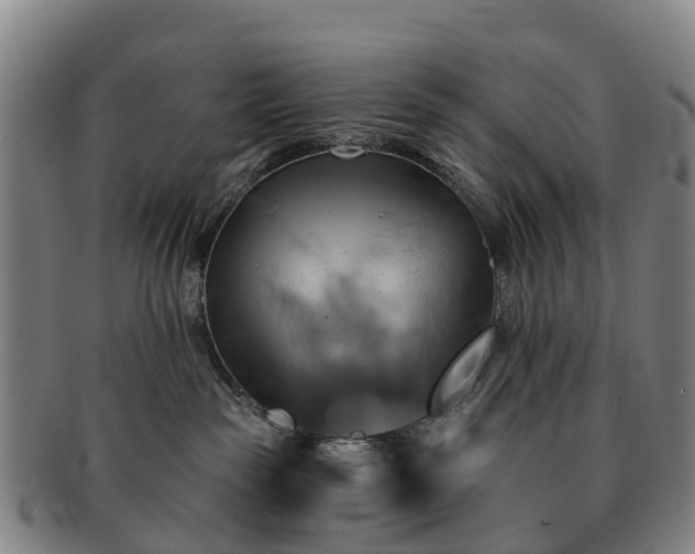 X0000091590189200708271252