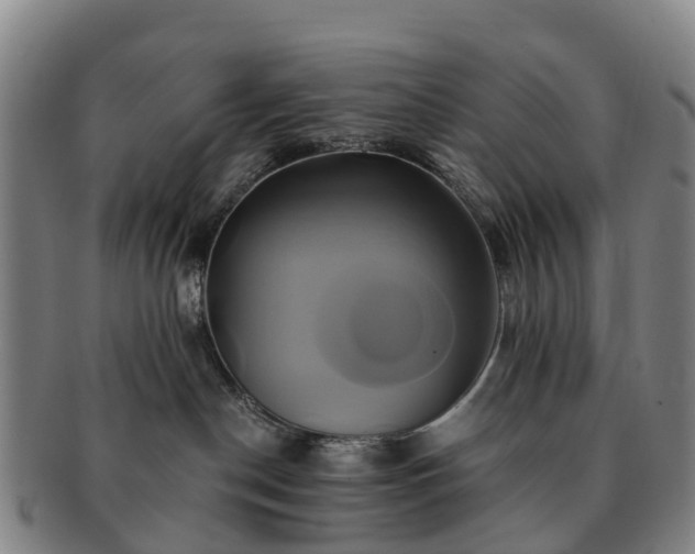 X0000091590190200708271252