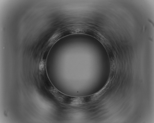 X0000091590191200708271252