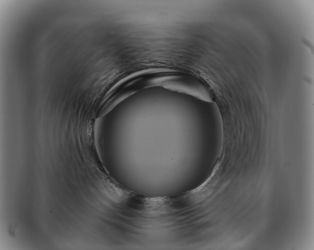X0000091590192200708271252