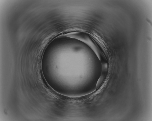 X0000091590193200708271251