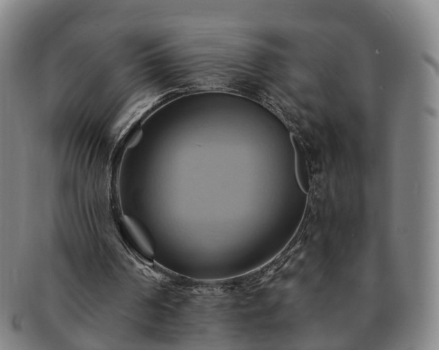 X0000091590194200708271251