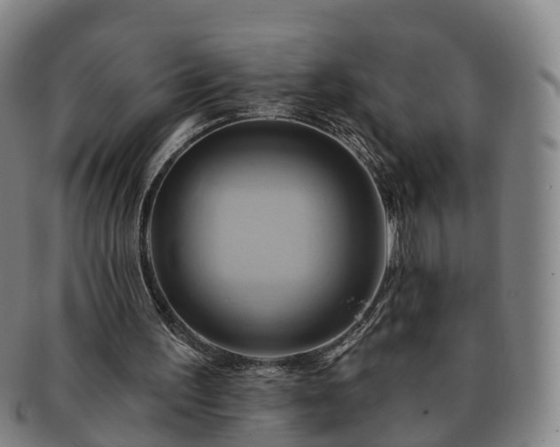 X0000091590195200708271251
