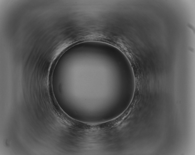 X0000091590196200708271251
