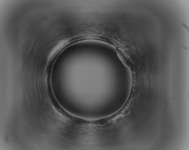 X0000091590197200708271251