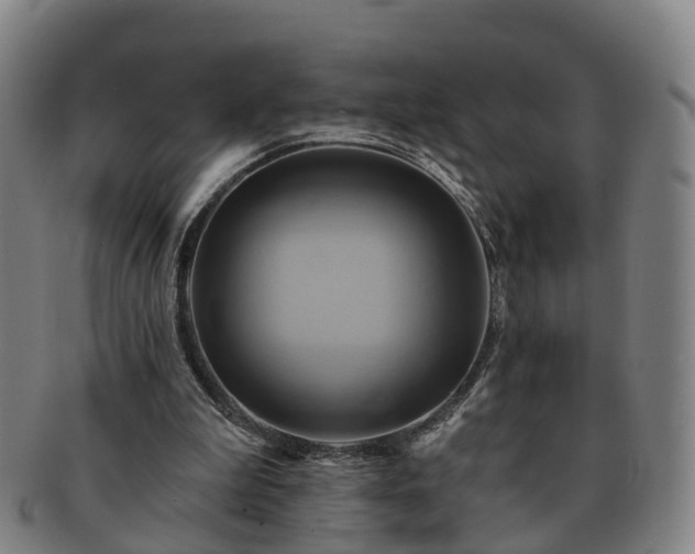 X0000091590199200708271251