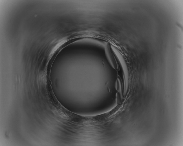X0000091590200200708271251