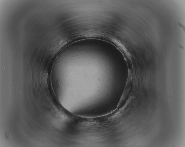 X0000091590201200708271251