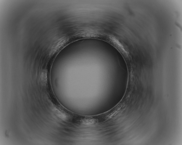 X0000091590202200708271251