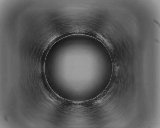 X0000091590203200708271251
