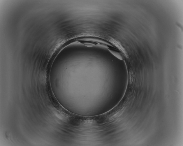 X0000091590204200708271251