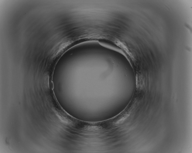 X0000091590205200708271251