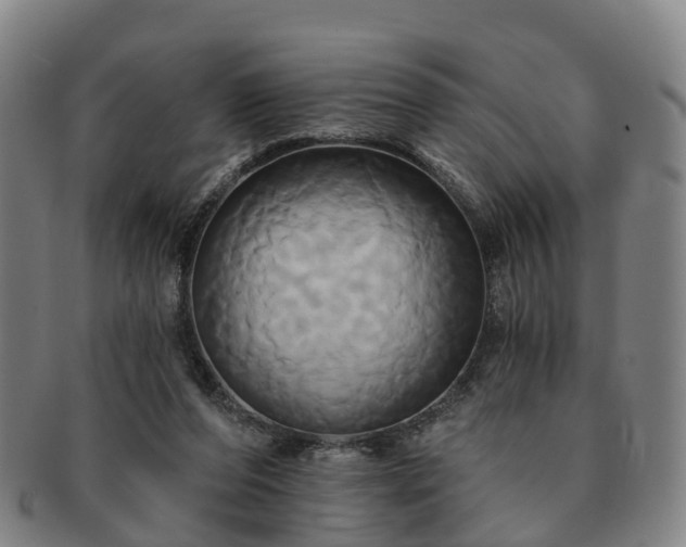 X0000091590208200708271251