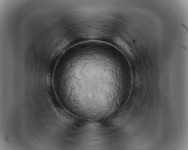 X0000091590210200708271251