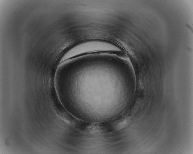 X0000091590211200708271251