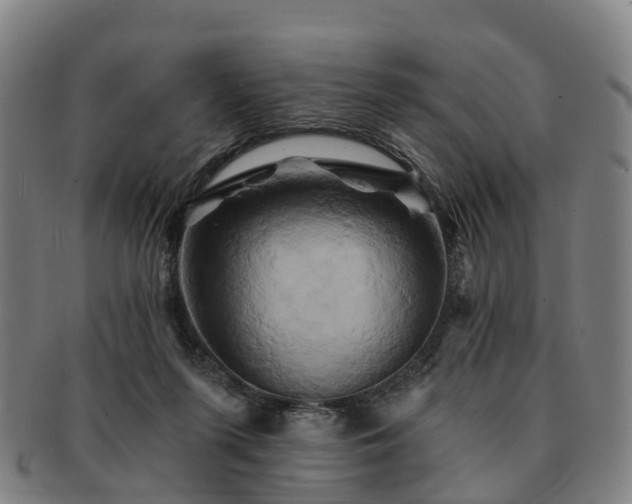 X0000091590215200708271251
