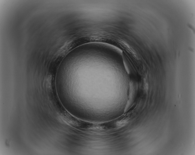 X0000091590217200708271251