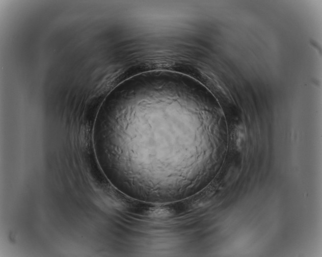 X0000091590218200708271251