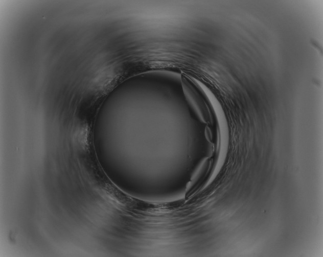 X0000091590219200708271251