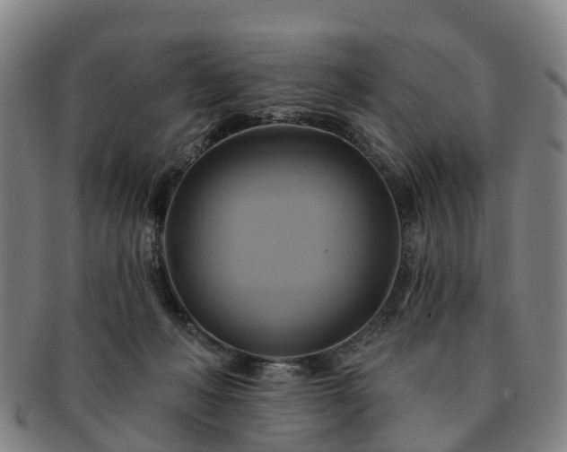 X0000091590222200708271251