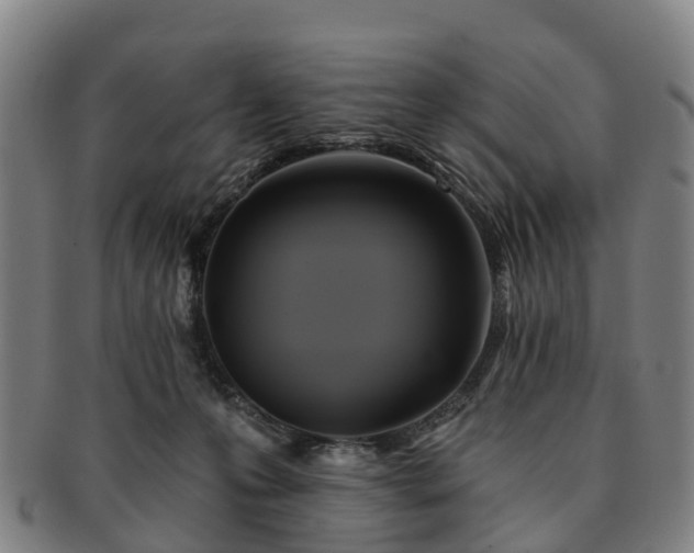 X0000091590223200708271251