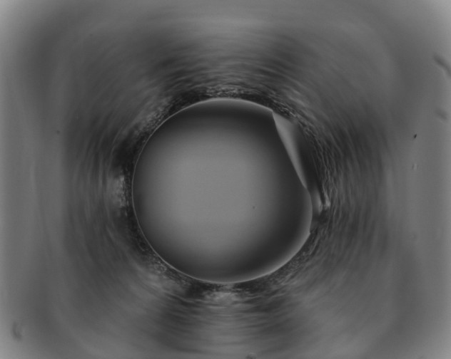 X0000091590224200708271251