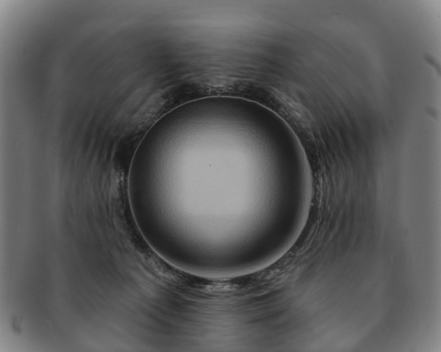 X0000091590225200708271251
