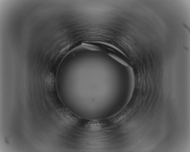X0000091590228200708271250