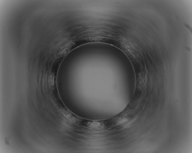 X0000091590230200708271250