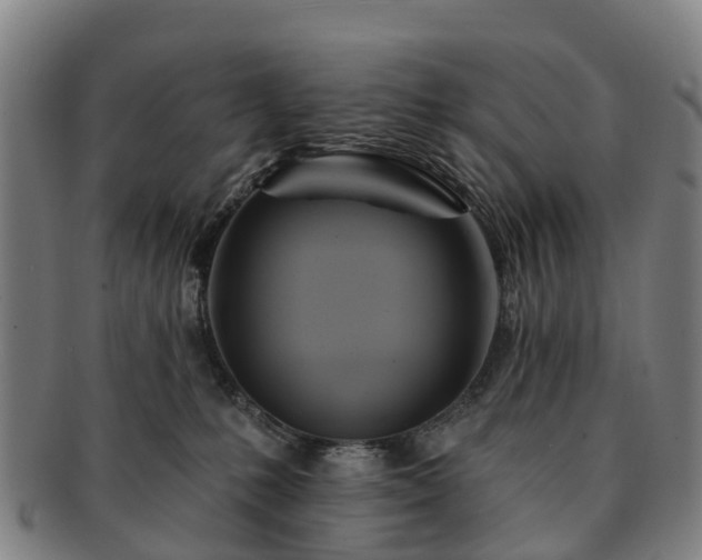 X0000091590231200708271250