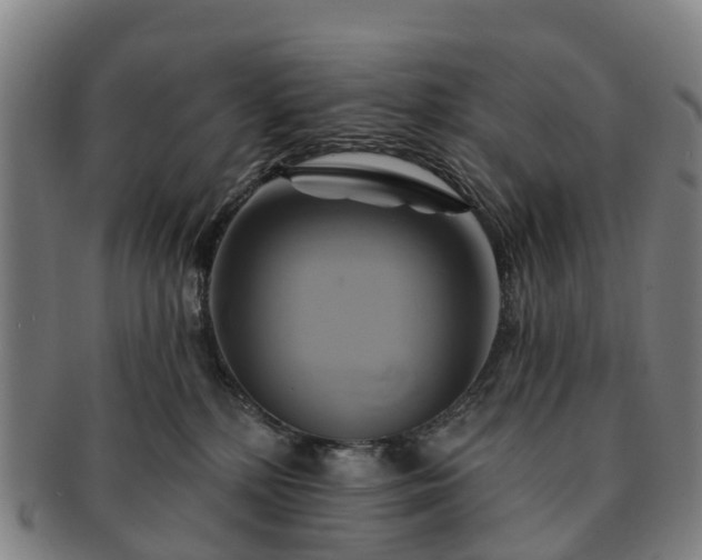 X0000091590232200708271250