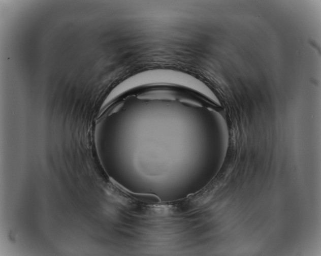 X0000091590233200708271250
