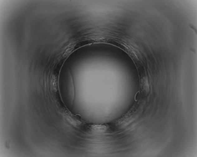 X0000091590234200708271250