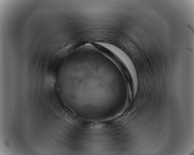X0000091590235200708271250