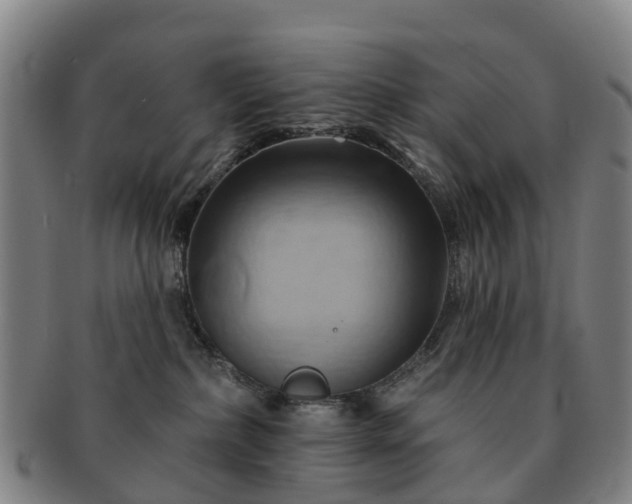 X0000091590236200708271250