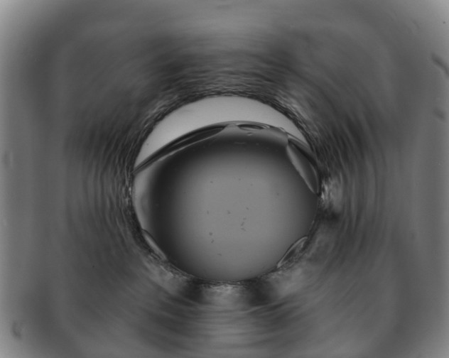 X0000091590237200708271250