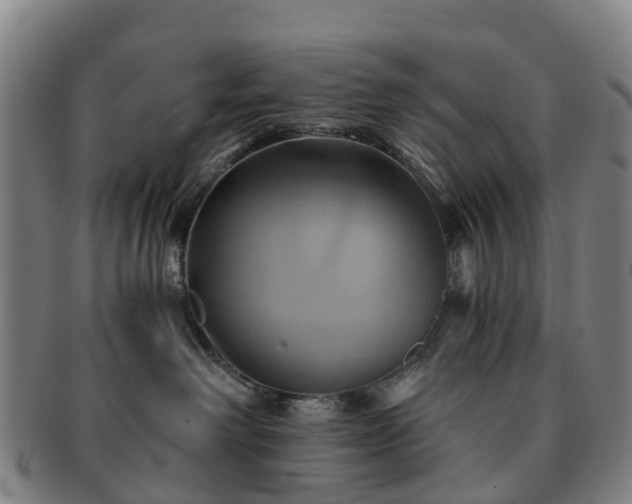 X0000091590238200708271250